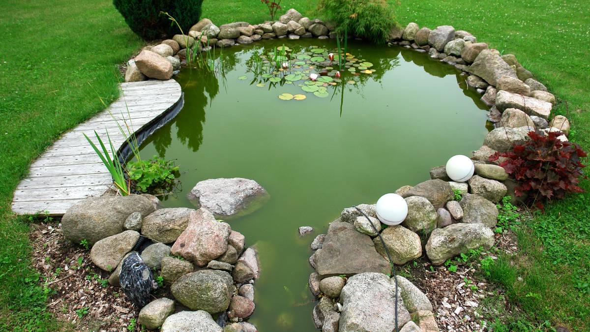 Gölet Ve Bahçe Doğal Süs Havuzu