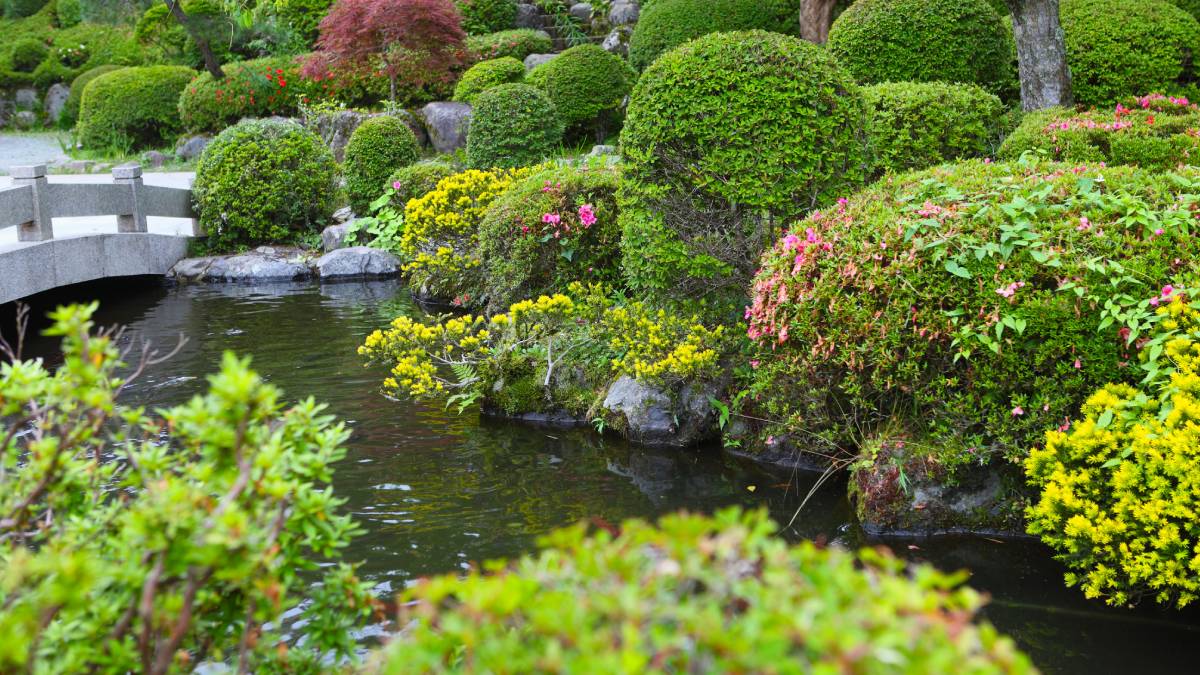 Japon Bahçe Tasarımları