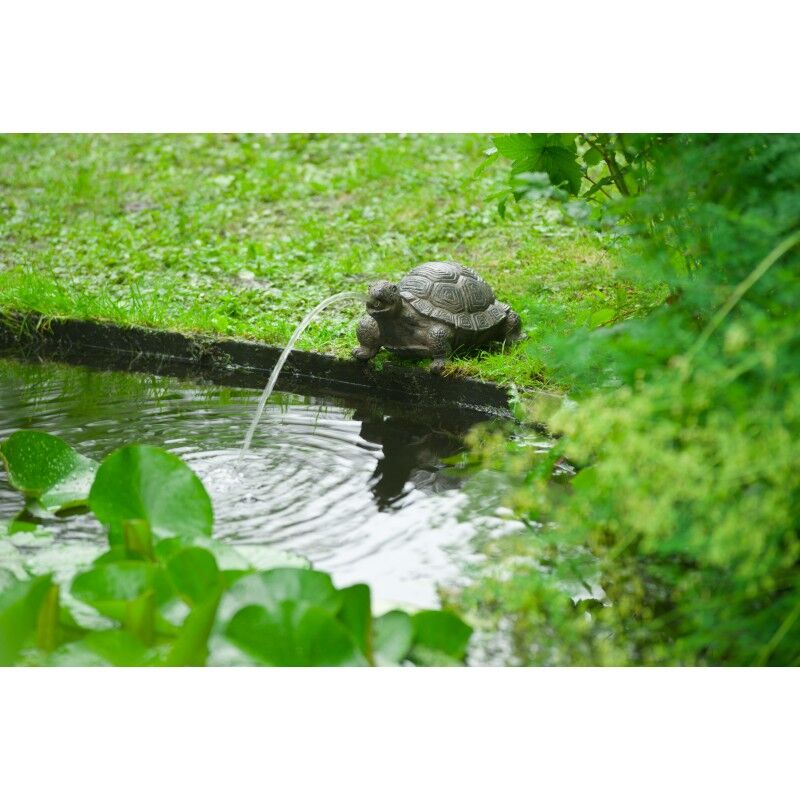 POOLLINE - Poolline Turtle Dekoratif Figürlü Süs Havuzu Fıskiyesi